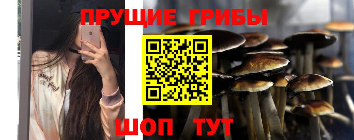 купить наркоту  Галлюциногенные грибы мухоморы  Вход с VPN  Барнаул 